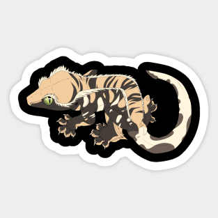 Harlequin Crested Gecko Sticker